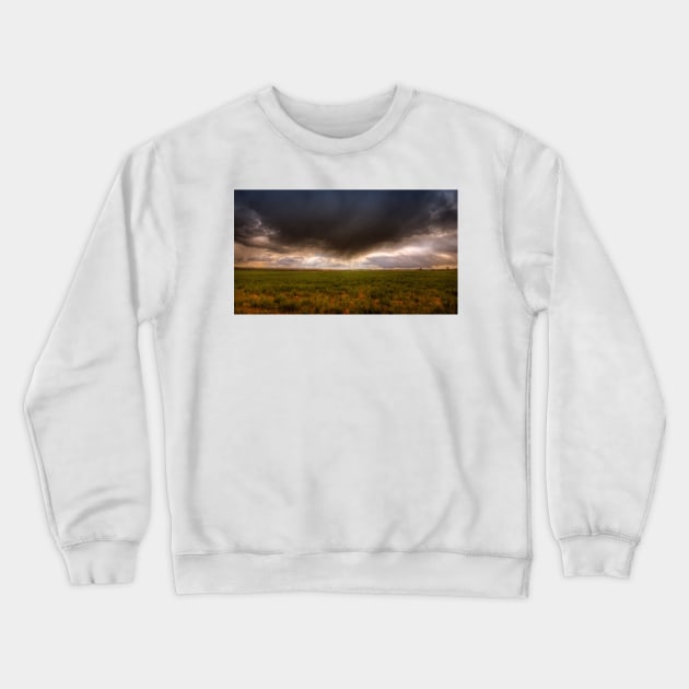 Storm Cloud Crewneck Sweatshirt by Nigdaw